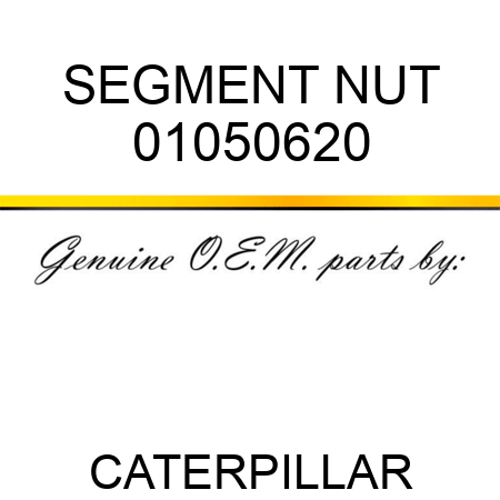 SEGMENT NUT 01050620