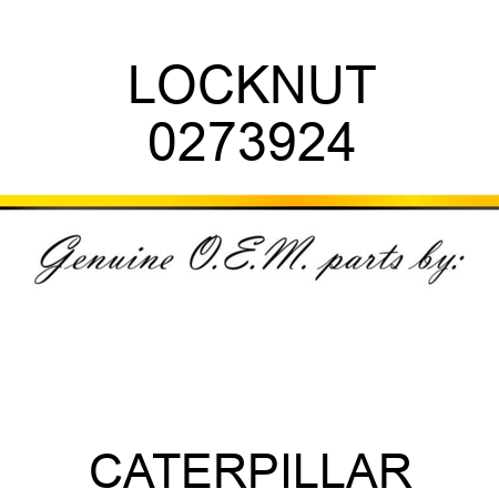 LOCKNUT 0273924