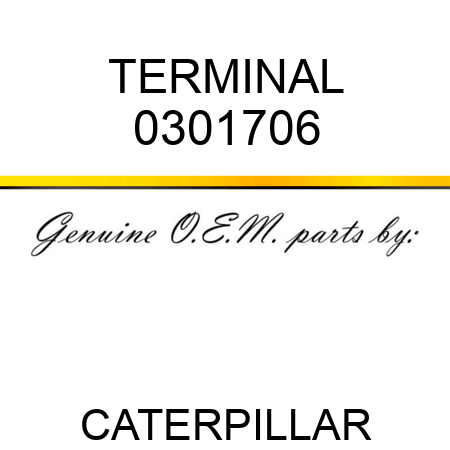 TERMINAL 0301706