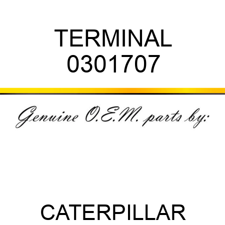 TERMINAL 0301707