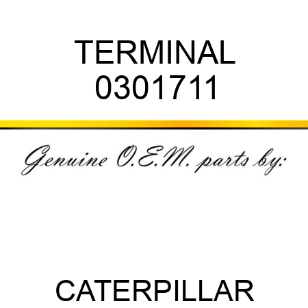 TERMINAL 0301711