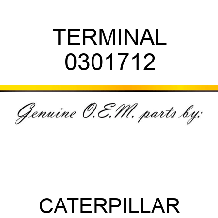 TERMINAL 0301712