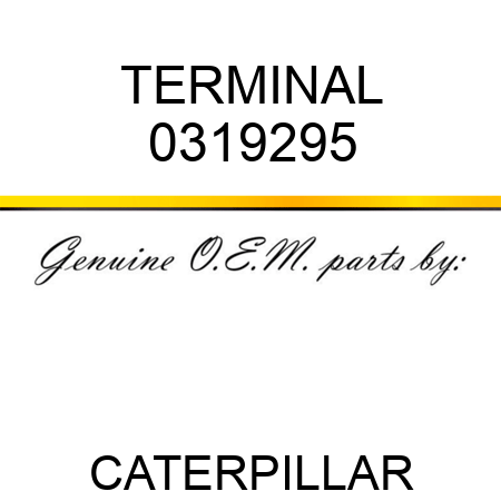 TERMINAL 0319295