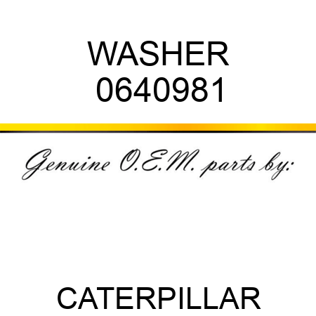 WASHER 0640981