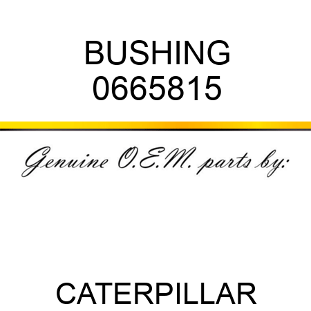 BUSHING 0665815