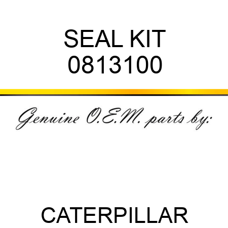 SEAL KIT 0813100