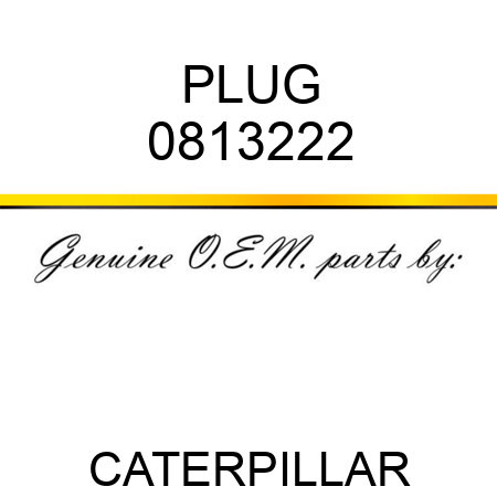 PLUG 0813222