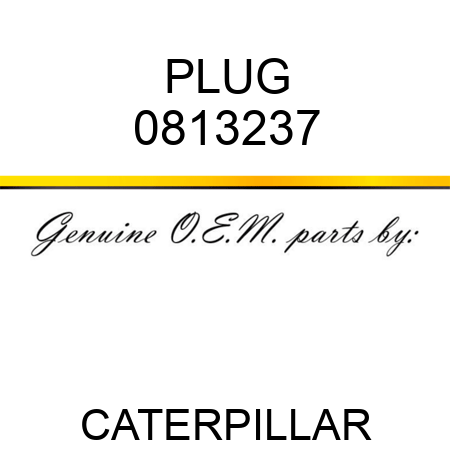 PLUG 0813237