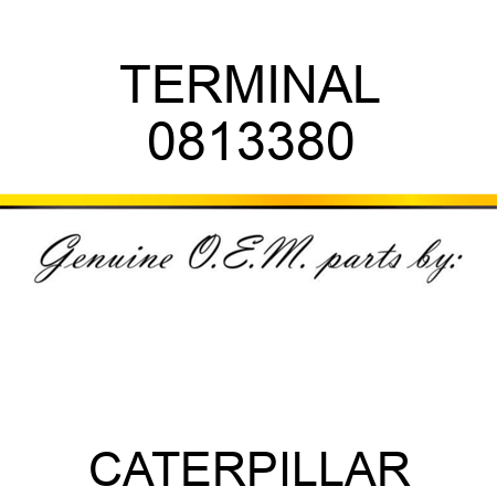 TERMINAL 0813380