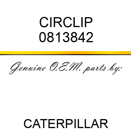 CIRCLIP 0813842