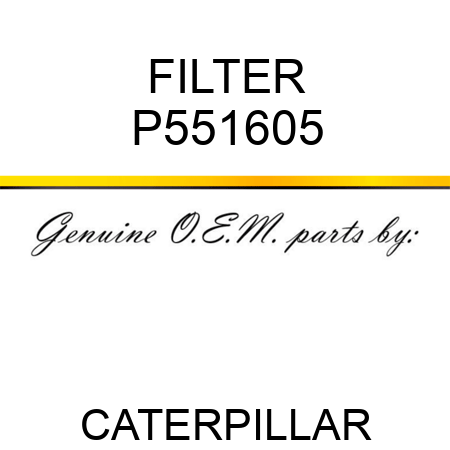 FILTER P551605