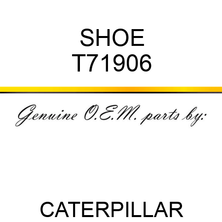 SHOE T71906