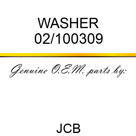 WASHER 02/100309